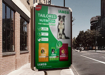 IAMS Dog KV 2023